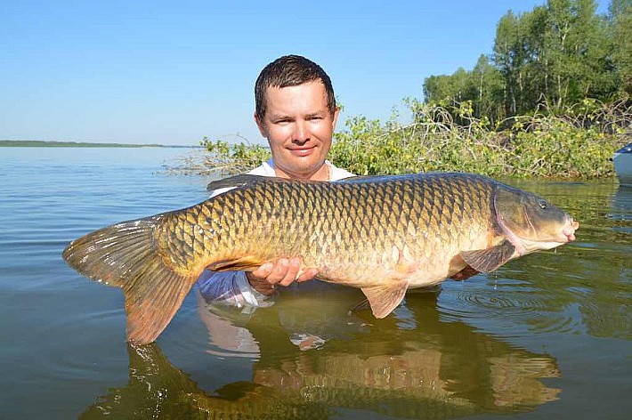 Карпфишинг009