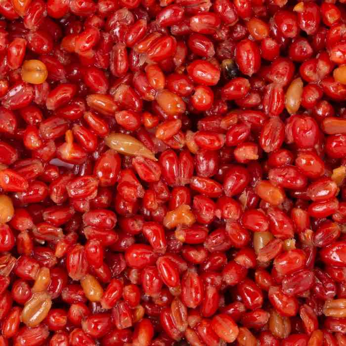 Зерновая смесь MINENKO Red Strawberry Wheat (4кг)