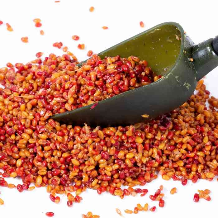 Зерновая смесь MINENKO Tropic Fruit MIX Wheat (4кг)