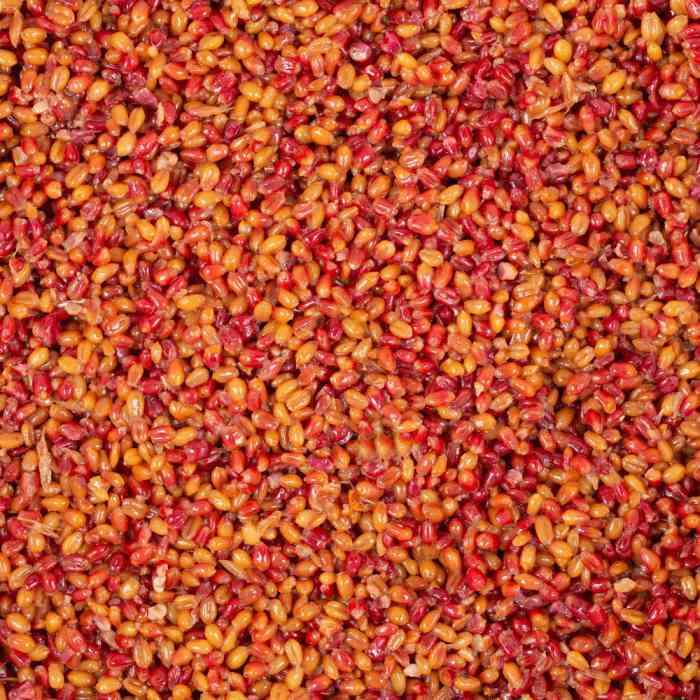 Зерновая смесь MINENKO Tropic Fruit MIX Wheat (4кг)