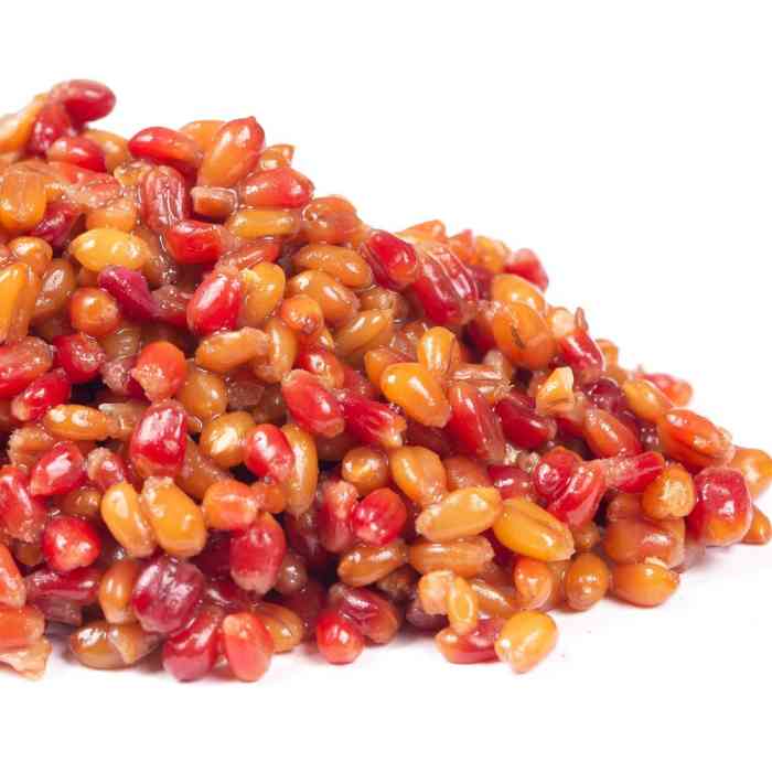 Зерновая смесь MINENKO Tropic Fruit MIX Wheat (4кг)