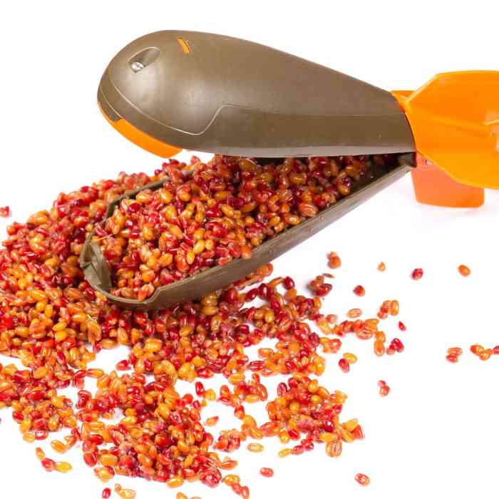 Зерновая смесь MINENKO Tropic Fruit MIX Wheat (4кг)